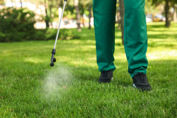 Best Pest Control Near Me in Stow, OH